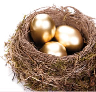 Nest with golden eggs